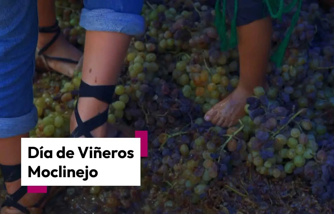 Día de Viñeros de Moclinejo, Fiestas singulares de Andalucía